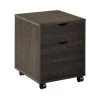 Noorvik Dark Oak File Cabinet with 2-Drawers and Casters by Coaster Home Furnishings -Coaster Home Furnishings Shop dark oak coaster home furnishings file cabinets 881572 64 1000